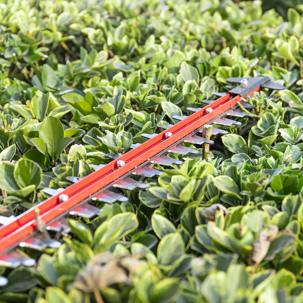 POWERALL 24V Rasentrimmer 30cm + Heckenschere 61cm Set
