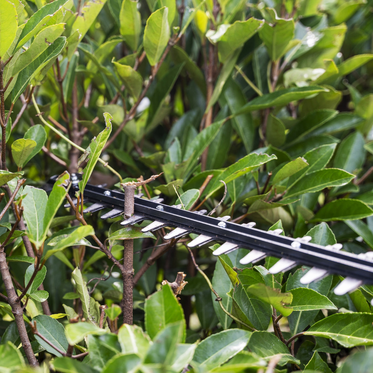 40V Stab-Heckenschere 51cm Gen. II - Ohne Akku